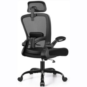 FelixKing Ergonomic Office Chair, Headrest