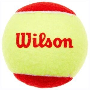 Wilson Starter Tennis Balls